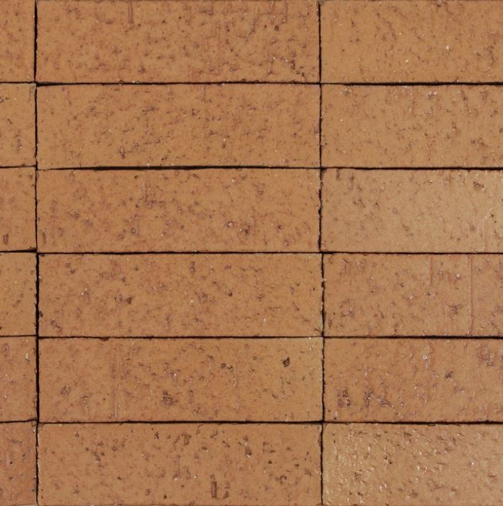 Arto Glazed Brick 2x8 Iron Red