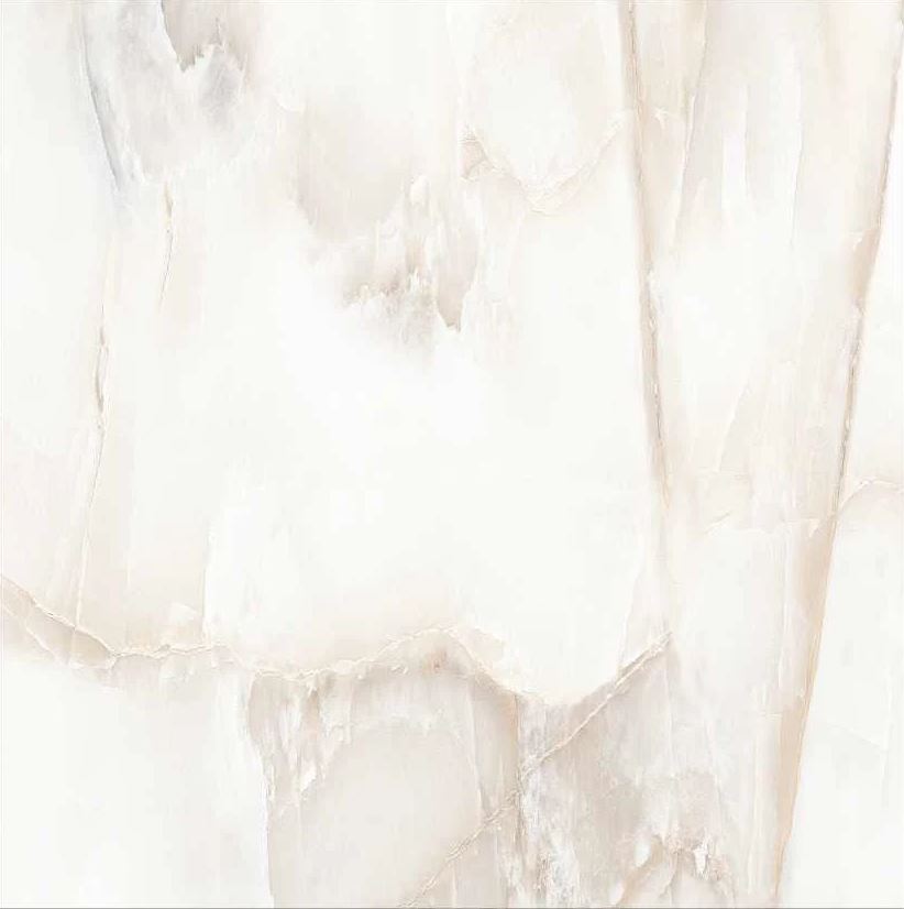 Aquarius Onyx Grey 24"x48" Polished