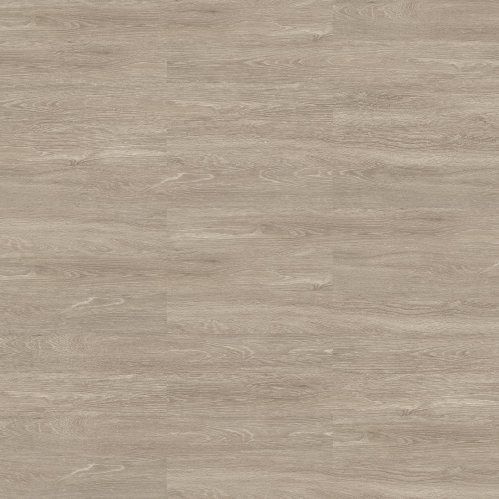 Shaw Terrain II 6x48 Echo 20 Mil