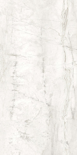 Porcelain 24x48 Carrara Select 2.0 Romano White